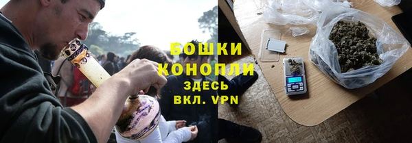 гидра Верхний Тагил