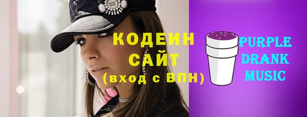 гидра Верхний Тагил