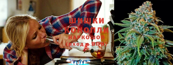 гидра Верхний Тагил