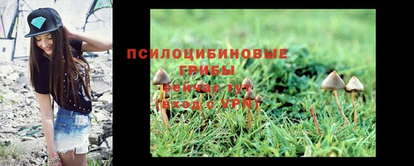 ECSTASY Богданович