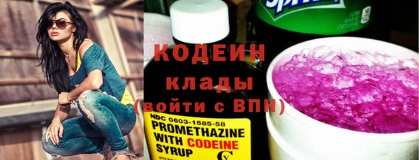 гидра Верхний Тагил