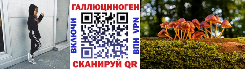 Псилоцибиновые грибы прущие грибы  ОМГ ОМГ ссылки  Ветлуга 