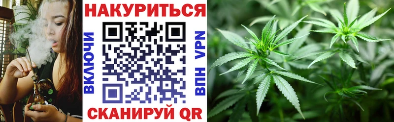 наркота  Ветлуга  Бошки марихуана конопля 